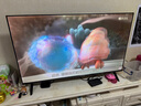 飛利浦（PHILIPS）50英寸4K超高清智慧全面屏 高頻調光護眼 遠場(chǎng)AI語(yǔ)音智能液晶平板電視機50PUF7590/T3 國家補貼15% 曬單實(shí)拍圖