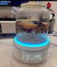 GLASSLOCK蓋朗養生壺全玻璃恒溫母嬰級0膠水0塑料接觸調奶器泡奶壺辦公室煮花茶器煎中藥燒水壺1.5L政府補貼 曬單實(shí)拍圖