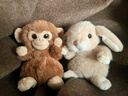 伽百利毛絨玩具猴子玩偶治愈抱枕陪睡陪伴安撫送朋友女生生日禮物女 W3395B小狌狌小棕猴 15cm 曬單實(shí)拍圖