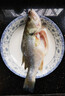 鮮活鱸魚(yú)400-500g/條 曬單實(shí)拍圖