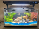魚(yú)缸加熱棒自動(dòng)恒溫變頻省電控溫模塊畫(huà)法幾何加熱棒智能魚(yú)缸專(zhuān)用 小米魚(yú)缸專(zhuān)用加熱棒 曬單實(shí)拍圖