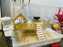 金絲熊籠子倉鼠籠超大亞克力透明別墅防啃咬飼養箱豪華大號專(zhuān)用屋 【大空間透明籠】復試洋房 曬單實(shí)拍圖