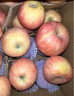 果燃彬彬新疆阿克蘇冰糖心蘋(píng)果應當季新鮮時(shí)令水果送禮紅富士丑蘋(píng)果 中果【凈8.8斤】試吃 曬單實(shí)拍圖