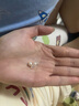 中國黃金淡水珍珠18k金耳釘女彩金耳飾女生結(jié)婚紀念日禮物送老婆女友生日 18k金珍珠耳釘-黃金色【京速達】 曬單實拍圖