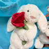 Jellycat【全球首發(fā)】乳白色懷抱玫瑰邦尼兔毛絨禮物玩偶公仔情人節新品 乳白色 Medium 曬單實(shí)拍圖