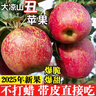 甜果源 大涼山丑蘋(píng)果 冰糖心蘋(píng)果四川應季水果食果禮品禮盒新鮮水果包郵 凈重8.5-9斤【超值實(shí)惠】 小果【單果65-70mm】 曬單實(shí)拍圖