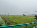 361°拖鞋男女AG運動(dòng)涼鞋軟彈耐磨居家防滑運動(dòng)拖鞋涉水情侶拖鞋沙灘鞋 羽毛白/烏黑色【男】 42 曬單實(shí)拍圖