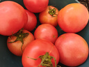 京鮮生沙瓤粉西紅柿 凈重3斤 單果100g+果菜兩吃 源頭直發(fā) 【搜生鮮館】 曬單實(shí)拍圖