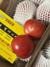 黃金籽西紅柿新鮮自然熟水果4.8-5斤非鐵皮梁其安火山博士番茄 曬單實(shí)拍圖