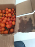 柿季輝煌圣女果櫻桃小柿子黃色玲瓏小番茄壽光現摘現發(fā) 3斤（帶箱） 曬單實(shí)拍圖