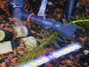 AMTRA TECHNIK德國安彩壁掛過(guò)濾器ex350小型魚(yú)缸過(guò)濾器烏龜缸壁掛式凈水 EX350 標準版【內含濾材】 曬單實(shí)拍圖