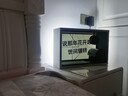 YTFY德國柏林之聲高端懸浮透明歌詞音響字幕復古藍牙音箱客廳氛圍感 經(jīng)典黑 曬單實(shí)拍圖