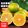 兀果語(yǔ)2025年云南密桔酸桔子當季薄皮橘子孕婦新鮮水果爆汁無(wú)核青 10斤 曬單實(shí)拍圖