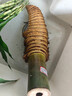 小葉簕竹好養活勒竹禪意樂(lè )竹竹根佛肚竹米竹竹子高端盆景 5年中樁 曬單實(shí)拍圖