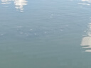 吳亞釣魚(yú)餌料浮底抽心黑坑草魚(yú)鯉魚(yú)鯽魚(yú)散炮顆粒鰱鳙魚(yú)餌野釣專(zhuān)用 浮底抽心二代1400克果味【1包】 曬單實(shí)拍圖