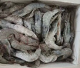賣(mài)魚(yú)郎先生蝦 青島鹽凍大蝦凈重3.6斤 25-30只/斤 青蝦海蝦生鮮 蝦類(lèi) 曬單實(shí)拍圖
