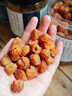 聚和泰【產(chǎn)地直發(fā)】無(wú)核免剝大果桂圓肉干250g*2罐龍眼肉干貨煲湯泡水 曬單實(shí)拍圖