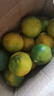櫻鮮正宗云南哀牢山冰糖橙綠皮花斑果新鮮玉溪橙子純甜現摘手剝甜橙子 凈重4.5斤裝 單果50mm+ 曬單實(shí)拍圖