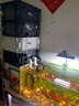 YEE魚(yú)缸周轉箱過(guò)濾器靜音上置滴流盒水循環(huán)外置過(guò)濾桶魚(yú)池過(guò)濾箱 【裸箱3層大號】適合150cm以?xún)鹊聂~(yú)缸 曬單實(shí)拍圖