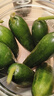 荷蘭水果黃瓜保鮮保脆爽口小黃瓜整箱新鮮現發(fā)即食減肥小水果零食 壽光田柳小黃瓜 3斤 曬單實(shí)拍圖