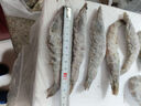 海之幫新鮮青島大蝦超大蝦凍蝦白蝦鮮活冷凍對蝦大號青蝦海鮮批發(fā) 16-18厘米活蝦速凍 3斤(凈重) 曬單實(shí)拍圖