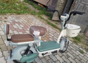 臺鈴電動(dòng)車(chē)電動(dòng)自行車(chē)48V22AH新國標可上牌電瓶車(chē)電助力代步通勤 2025年新款上新 綠色-48V22AH藍鯨動(dòng)力電池 曬單實(shí)拍圖