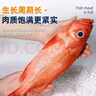 朵芙 海參斑魚(yú) 多規格 紅魚(yú)凈重 紅石斑魚(yú)大眼魚(yú)富貴魚(yú)深海魚(yú)生鮮魚(yú)類(lèi) 【特大紅石斑】1.7-2斤*4條裝 曬單實(shí)拍圖