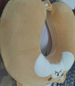 名創(chuàng)優(yōu)品（MINISO）柴犬系列U型枕記憶棉辦公室教室午休枕汽車飛機(jī)旅行頸枕生日禮物 曬單實(shí)拍圖