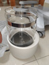 摩飛電器（Morphyrichards）全玻璃養生壺家用燒水壺多段控溫電熱水壺極速風(fēng)冷恒溫壺沖奶泡奶機MR5602 1.2L 椰奶白 曬單實(shí)拍圖