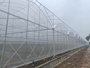 智能內外遮陽(yáng)連體大棚玻璃溫室定制家用蔬菜養殖大棚溫室骨架全套 玻璃溫室 曬單實(shí)拍圖