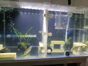 魚(yú)缸背景貼紙pvc缸外裝飾造景水族箱純黑色背景壁紙玻璃裝飾貼膜 魚(yú)缸背景貼-寬40cm*長(cháng)1米 曬單實(shí)拍圖