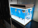 森森 超白玻璃智能桌面魚(yú)缸一體缸自循環(huán)HE-480 曬單實(shí)拍圖