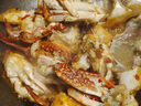 舟山梭子蟹鮮活特大野生大螃蟹新鮮冷凍海鮮水產(chǎn)海蟹飛蟹白蟹順豐 9兩以上/只【5斤凈重 超大肥美】 曬單實(shí)拍圖