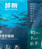 鮮朗低溫烘焙全價(jià)無(wú)谷貓糧禽肉魚(yú)肉兔肉口味幼貓糧主食凍干糧 烘焙貓糧(禽肉)6kg 曬單實(shí)拍圖