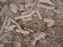 松寶（松寶）魚(yú)缸底砂黃金砂適用小米魚(yú)缸造景底沙天然水晶沙石頭 5斤 曬單實(shí)拍圖