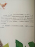 一粒種子的旅行  南海出版社愛(ài)心樹(shù)繪本童書(shū)非注音版入選小學(xué)生基礎閱讀書(shū)目 曬單實(shí)拍圖