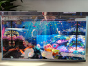 小米適配一代魚(yú)缸背景板貼紙裝飾畫(huà)亞克力高清卡通3D立體美學(xué) 光照海底生物*1 曬單實(shí)拍圖