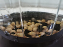 九陽(yáng)新款家用輕音全自動(dòng)1.2L多功能預約豆漿機2-3人榨汁機料理輔食機五谷雜糧破壁機P203政府補貼 曬單實(shí)拍圖