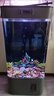 美諾魚(yú)缸客廳半圓型魚(yú)缸屏風(fēng)大中小型家用落地式玻璃金魚(yú)缸生態(tài)免換水 灰色 60*40*138 曬單實(shí)拍圖
