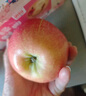 秦悅仙果鮮正宗山東煙臺紅富士蘋(píng)果新鮮水果當季整箱棲霞脆甜蘋(píng)果 5斤【越大越甜80mm+】?jì)?斤 綠色食品認證果園 曬單實(shí)拍圖