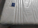 芝華仕（CHEERS）乳膠床墊獨立彈簧軟硬兩用臥室席夢(mèng)思明星墊D026 1.5【京倉閃發(fā)】 曬單實(shí)拍圖
