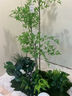 故森仿真植物綠植景觀(guān)造景陽(yáng)臺組合裝飾植物樓梯玻璃櫥窗仿生室內布置 景觀(guān)001-天堂鳥(niǎo)+加州蒲葵【主圖同款】 曬單實(shí)拍圖