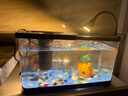 闊庭（KUOTING）魚(yú)缸一體缸自循環(huán)免換水魚(yú)缸家用小型桌面魚(yú)缸生態(tài)魚(yú)缸小魚(yú)缸黑色 曬單實(shí)拍圖