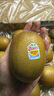 佳沛（zespri）新西蘭  陽(yáng)光金果18粒原箱單果重173-204g 獼猴桃 中秋水果禮盒 曬單實(shí)拍圖