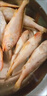 順豐小黃魚(yú)深海捕撈速凍生鮮野生黃花魚(yú)肉質(zhì)鮮嫩海鮮水產(chǎn)煲湯煎炸 5斤【小黃花魚(yú)】 曬單實(shí)拍圖