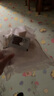 珍百年 鮮凍法式鵝肝切片250g原切中秋法餐日料壽司刺身半成品食材生鮮 曬單實(shí)拍圖
