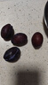 庾豐當(dāng)季新鮮現(xiàn)摘脆紅李 新鮮水果整箱 孕婦脫骨青紅李子 團(tuán)購送禮 5斤裝（凈果4.5斤）甄選果 顆顆甄選 產(chǎn)地直發(fā) 曬單實拍圖
