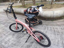 KOSDA科盛達折疊自行車(chē)KS100成人折疊自行車(chē)海豚折疊車(chē)親子折疊自行車(chē) KS100-白色|禧瑪諾7速+海豚車(chē)架 20寸|適用140-185cm 曬單實(shí)拍圖
