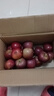吉果叔 正宗大涼山丑蘋(píng)果 應當季時(shí)令新鮮水果四川冰糖心蘋(píng)果紅富士生鮮 凈重5斤 【迷你果】單果60-65mm 曬單實(shí)拍圖