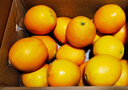 京覓 江西贛南臍橙 9斤凈重橙子特大果300g起 紐荷爾甜橙水果源頭直發(fā) 曬單實(shí)拍圖